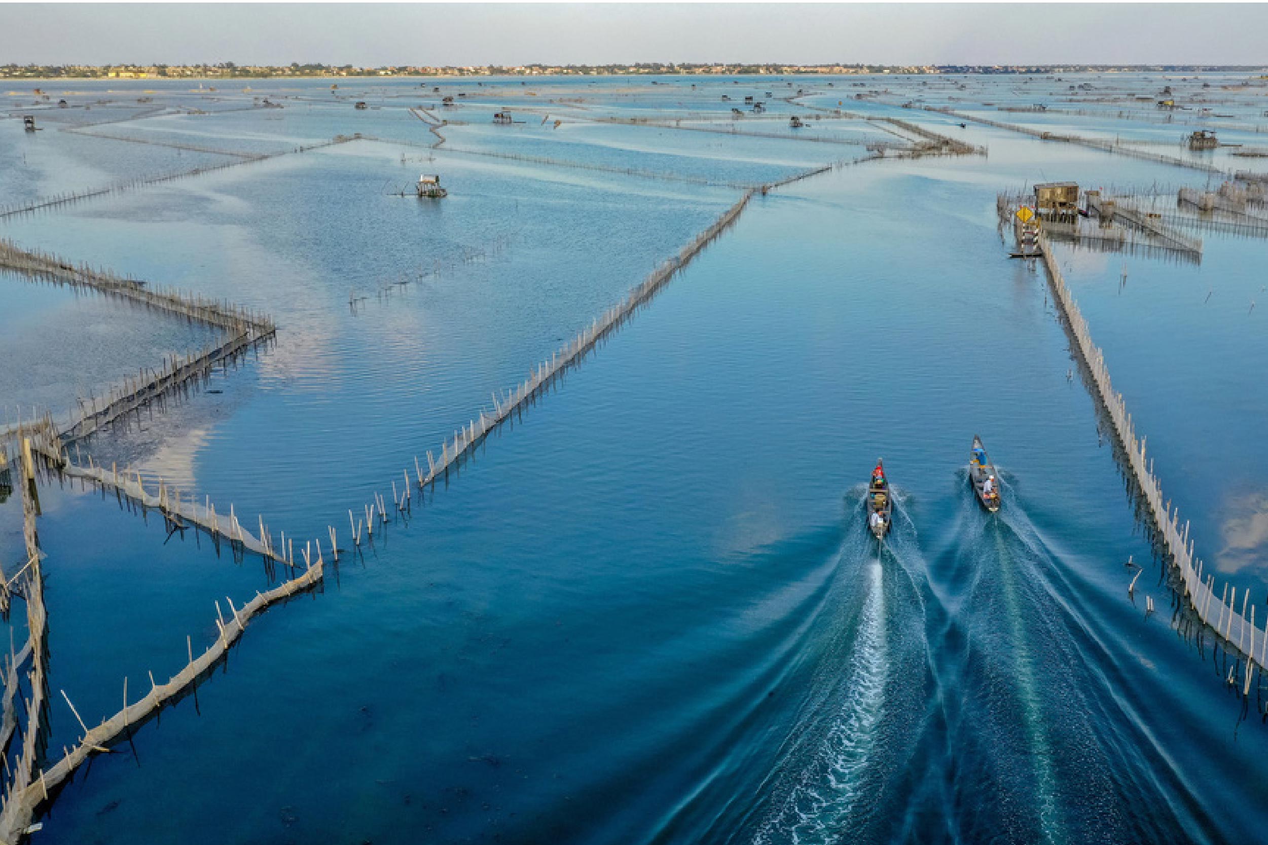 Nuôi thủy sản bằng chắn sáo & đăng quầng