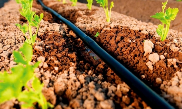 ống hdpe cho hệ thống tưới nước